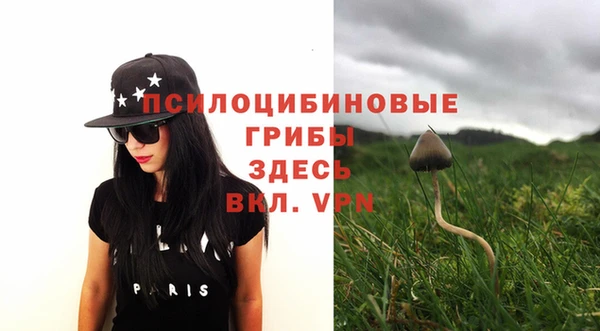дурь Ельня