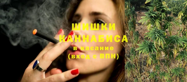 твердый Аркадак