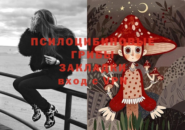 мяу мяу кристалл Арсеньев