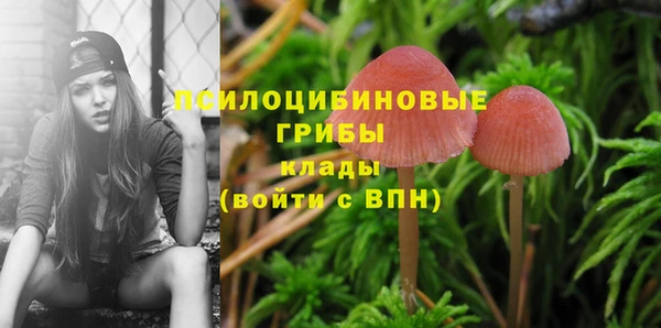 твердый Аркадак