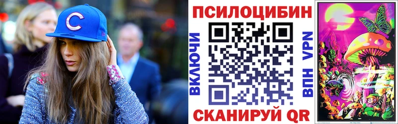 блэк спрут сайт продажа наркотиков Сокол Галлюциногенные грибы мухоморы